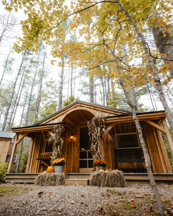 Bear Brook Cabin at Alpine Garden