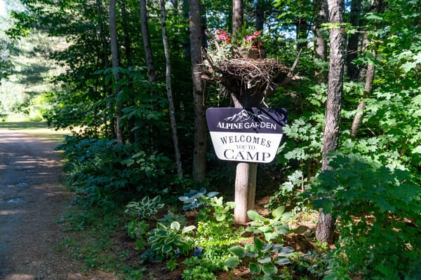 On Property at Alpine Garden