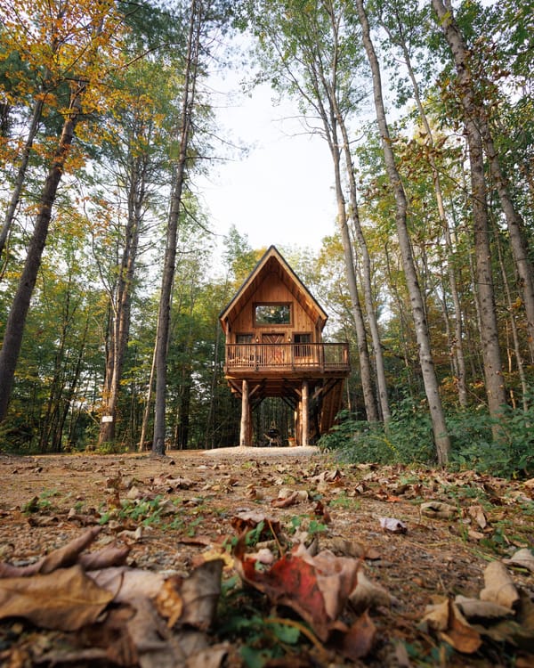 Elevated Stays at Alpine Garden