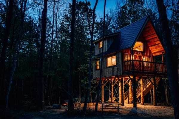 Elevated Stays at Alpine Garden