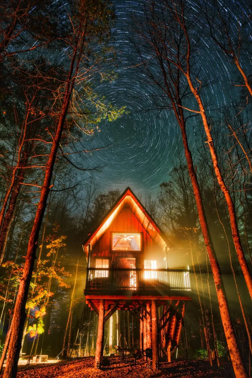 Alpine Garden Treehouse